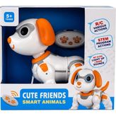 TeknoKapsül 8324B Uzaktan Kumandalı Robot