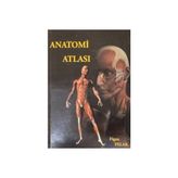 TeknoKapsül Anatomi Atlası