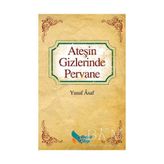 TeknoKapsül Ateşin Gizlerinde Pervane