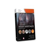 TeknoKapsül Insan Anatomisi Klinik Atlası