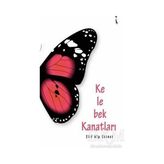 TeknoKapsül Kelebek Kanatları