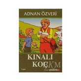 TeknoKapsül Kınalı Koç