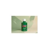 TeknoKapsül Let’s Guaj Boya Yeşil 250 ml