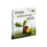 TeknoKapsül Meşe Palamudunun Sihri