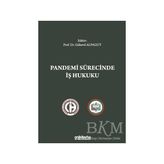 TeknoKapsül Pandemi Sürecinde Iş Hukuku