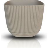Temmuz Home Büyük Boy Modern Sukulent Kaktüs ve Çiçek Saksısı 4 Lt Krem