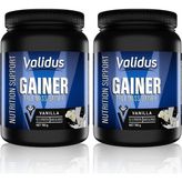 TemmuzX True Mass Gainer (Vanılla) 700 G (2 Paketi)
