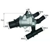 Termostat Bravo - Marea - Alfa 156 1998