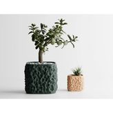 Terraforma Dekoratif Saksı - Haki Modern Bitki Saksısı 6 cm - 70x70x60mm