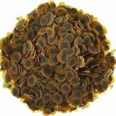 Tetra Pro Algae 500 Gram Bitkisel Balık Yemi