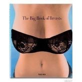 THE BIG BOOK OF BREASTS - DIAN HANSON