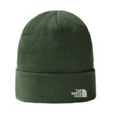 The North Face Bere Norm Beanie