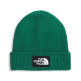 THE NORTH FACE Logo Box Cuffed Unisex Bere, NF0A8CHE