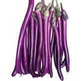 Thin Long Patlican Tohumu (15 Tohum)