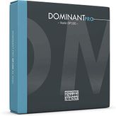 Thomastik-Infeld Dominant Pro Keman Telleri DP100, İleri Kemancılar için 4/4 Sentetik Çekirdek Seti - Kalay Kaplama E, Alüminyum A, Gümüş D&G - Güçlü, Geniş Ses Renkleriyle Dengeli - Viyana'da