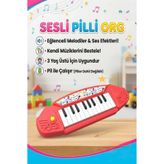 Tıfıl Toys Mini Elektronik Org, 21 Tuşlu, Pilli, Sesli, 3+ Yaş