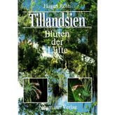 Tillandsien. Blüten der Lüfte