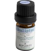 Toganoo Tea Okaliptüs Uçucu Yağ AromaTerapi 5 ml
