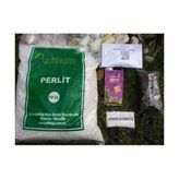 Tohhum Perlit Tohumu