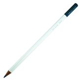 Tombow Irojıten Jay Blue Kuru Boya Kalemi