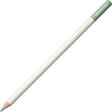 Tombow Irojıten Mist Green Kuru Boya Kalemi