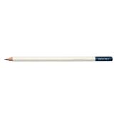 Tombow Irojıten Night Blue Kuru Boya Kalemi