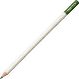 Tombow Irojıten Verdigris Kuru Boya Kalemi