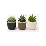 Toptan Budur Modern 3'lü Mercan Kare Sukulent Saksısı, Çok Renkli, Plastik, 8,2x8,2x7,1 cm - .