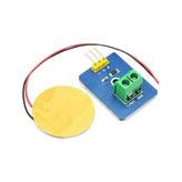 Toptan Budur Piezoelektrik Seramik Titreşim Sensörü - standart