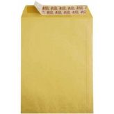 Torba Zarf 17x25cm Formula 100gr (500 Lü Koli)