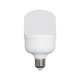 Torch Ferled 50 Watt E27 Duylu Ampul