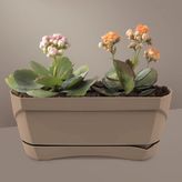 ToXA Modern Balkon Saksısı 5 Litre Kahve 35CM Tabaklı Delikli Plastik Saksı No1 - Cappuccino