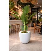 Tr Plastik Modern Saksı, Iç ve Dış Mekan, 42X45 Cm, Beyaz, Yuvarlak, 25.5 L - Genel - Çok Renkli