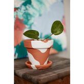 Tr Terracotta Konik Saksı+Tabak • Bohem Beyaz (Küçük) - Genel