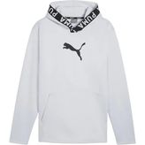Train Pwr Fleece Erkek Gri Antrenman Sweatshirt 52089399