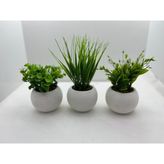 Trend Kent Trendkent Mini Beton Saksı 3'lü Set Gerçek Yosunlu Yapay Çiçek Aranjman Modern Tasarım