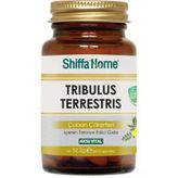 Trıbulus Terrestrıs /Çoban Çökerten Kapsül