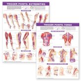 Trigger Point Chart Set: Torso and Extremities by Anatomical Chart Company (2007-05-30)