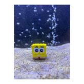 TRİVOXEL Mini Sünger Bob Akvaryum Dekoru