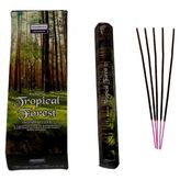Tropical Forest-Tropik Orman Kokulu Tütsü