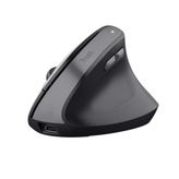 Trust TM-270 Siyah Gri Ergonomik Kablosuz Mouse
