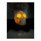 TSC Kuru Kafa Formda Mini Mum Led 13CM