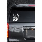 TSC Z486 Pitbull Köpek Araba Sticker