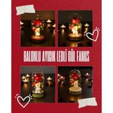 Ttt Balonlu Ayıcık Ledli Gül Fanus