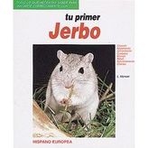 Tu primer Jerbo / Your first Jerboa