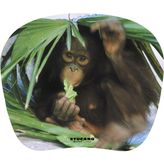 Tucano MPBOX-REF-28 Natura Mouse Pad Yavru Maymun