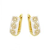 Tuğrul Altın T024657 Altın Küpe