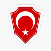 Türk Bayrağı Arma Logo Sticker 16CM 2 Adet