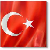 Türk Bayrağı Tablosu 100 x 100