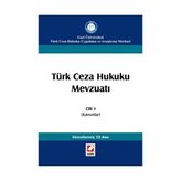 Türk Ceza Hukuku Mevzuatı